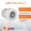 Zigbee Motion Sensor