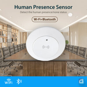 Wifi Human Presence Sensor